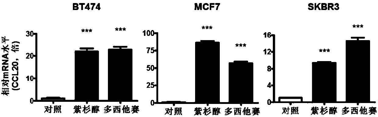 Application of CCL20 to evaluation of therapeutic effect of tumor chemotherapy and tumor therapy