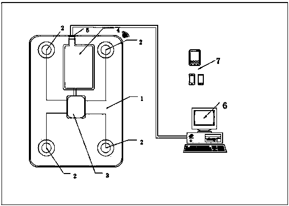 Device for monitoring water drinking conditions in real time