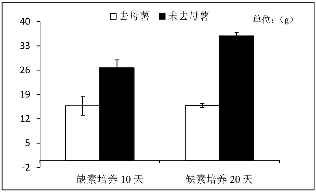 Potting method capable of achieving zinc deficiency of Solanum tuberosum L.