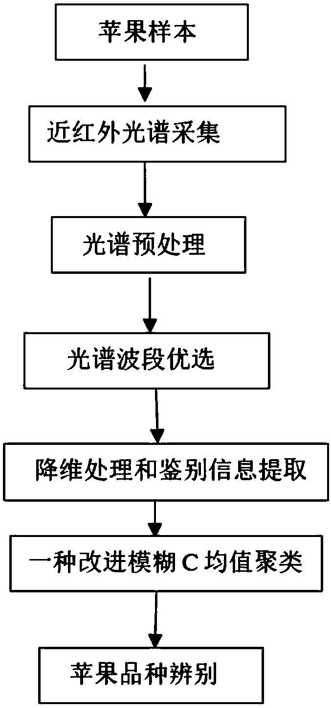 An apple variety identification method based on fuzzy clustering of spectral band optimization