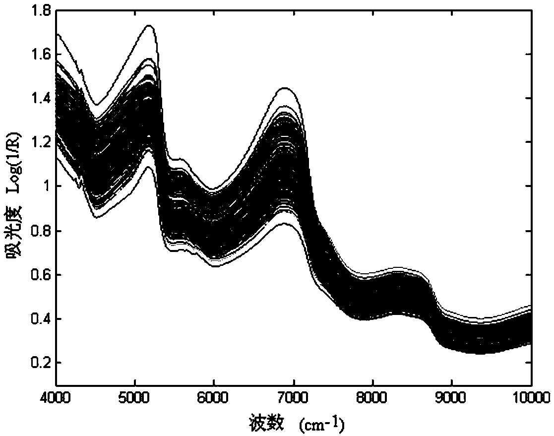 An apple variety identification method based on fuzzy clustering of spectral band optimization