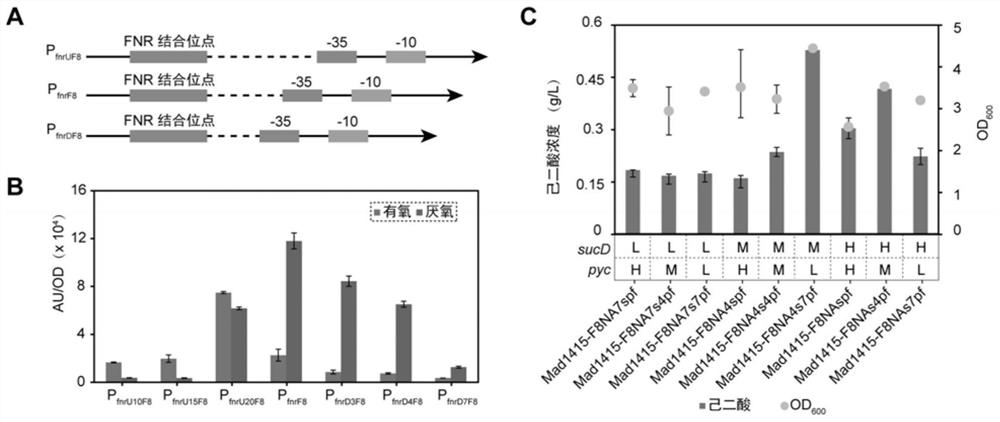 Construction method and application of oxygen response type biosensor