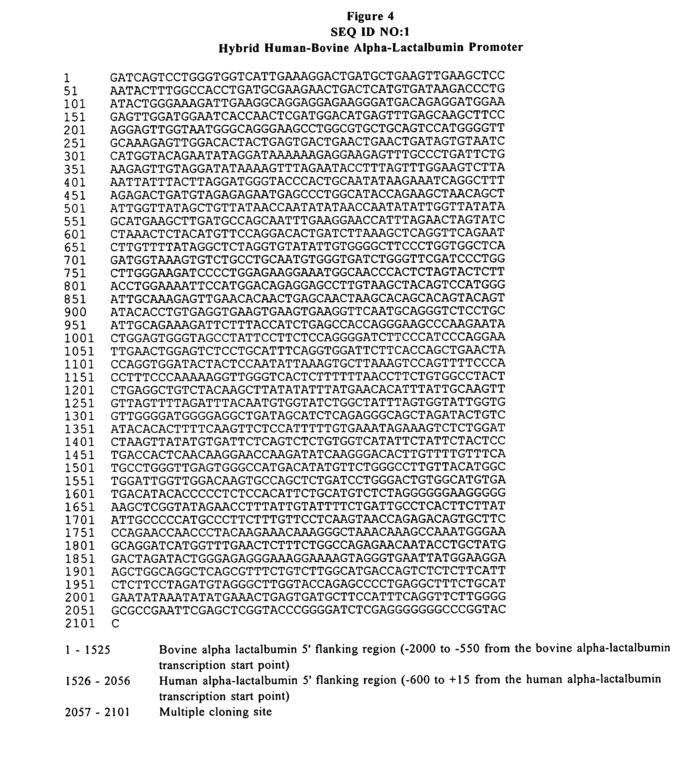 Host cells containing multiple integrating vectors