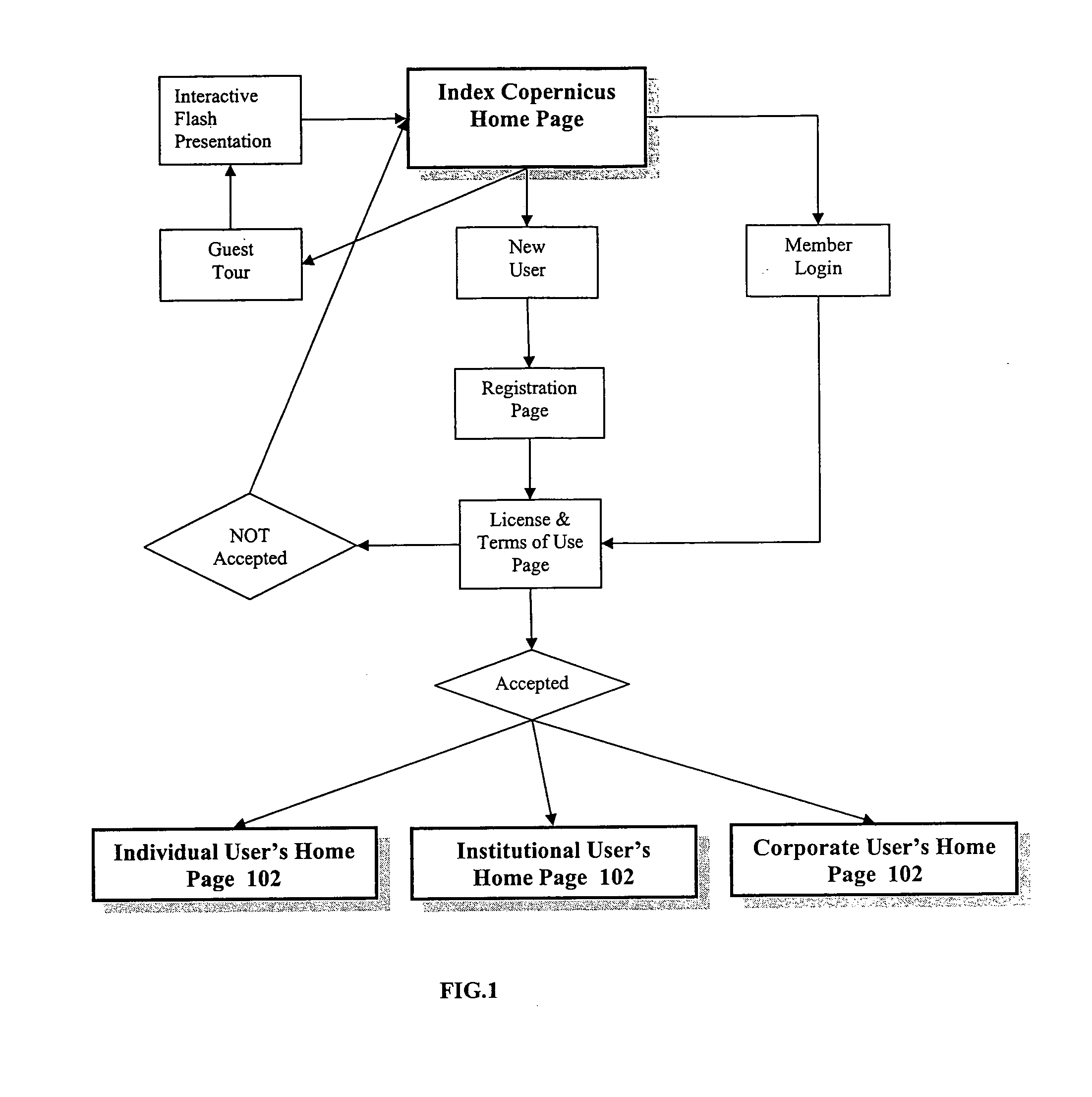 Scientific information systems and methods for global networking opportunities