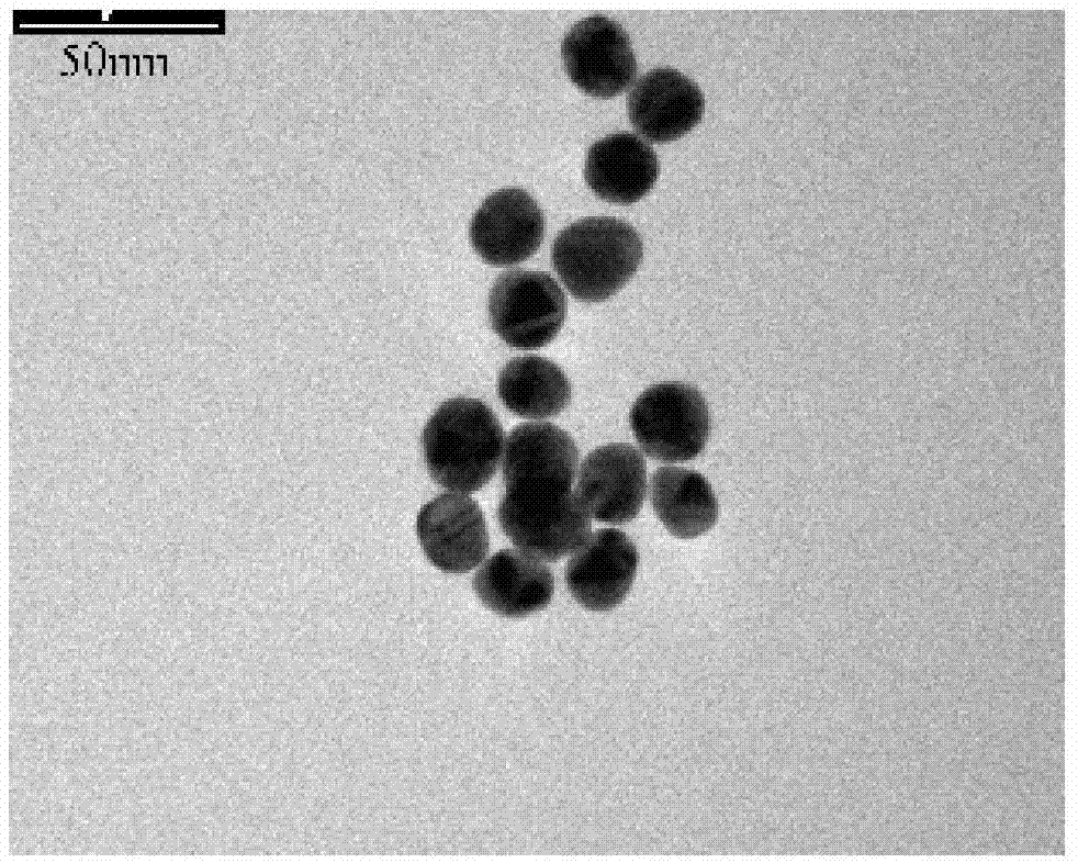 Synthesis method of polypeptide-nanogold particle drug carrier
