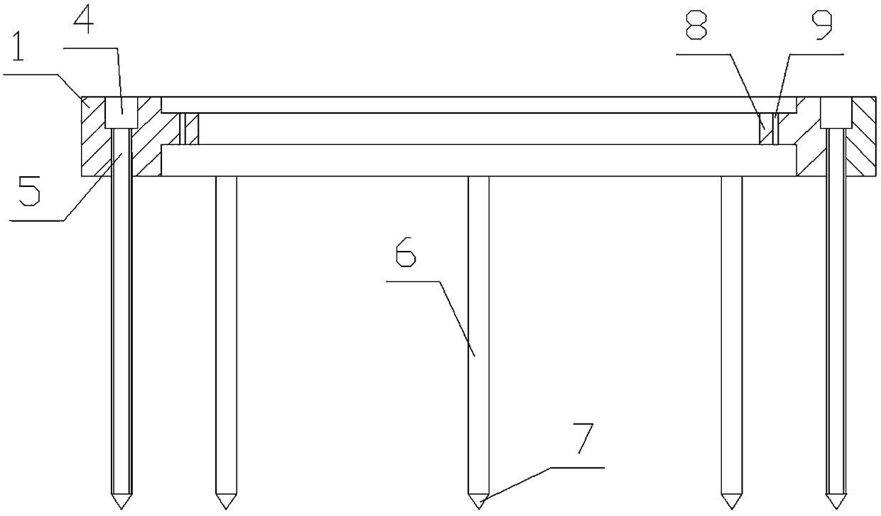 Independent mulching film device for blueberry planting