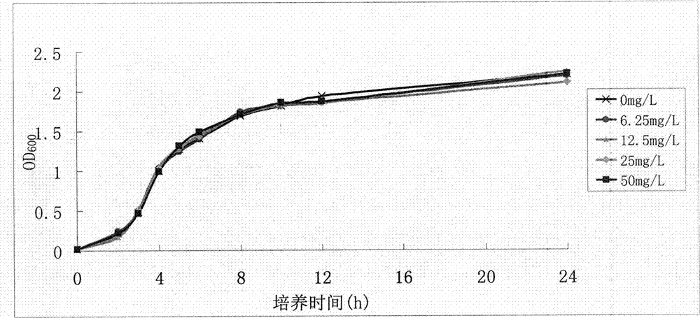 Compound separated and extracted from marine penicillium and application thereof