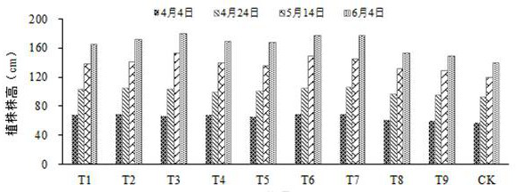 Special bag cultivating medium for cucumbers and preparation method of bag cultivating medium