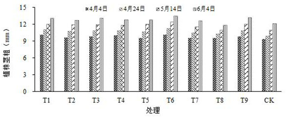 Special bag cultivating medium for cucumbers and preparation method of bag cultivating medium