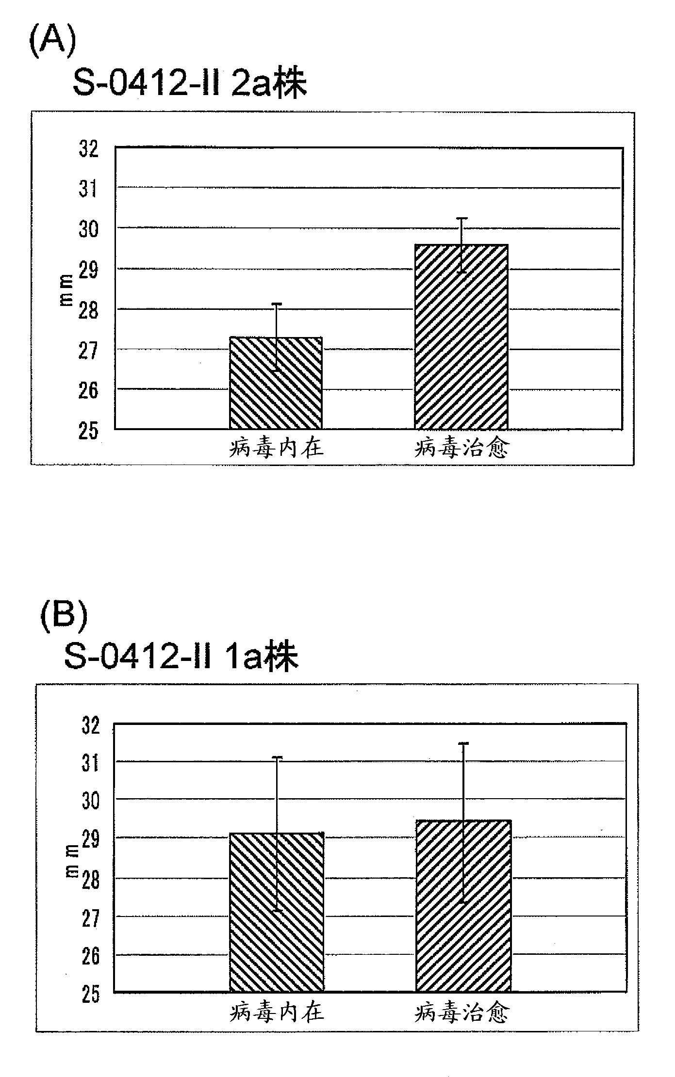 Mycovirus, phytopathogenic fungus, plant disease controlling agent, method for controlling plant disease, and method for attenuating phytopathogenic fungus