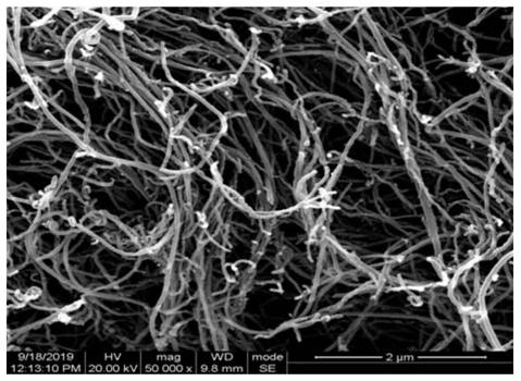 Carbon nanotubes purified by gas phase damping method, device and purification method