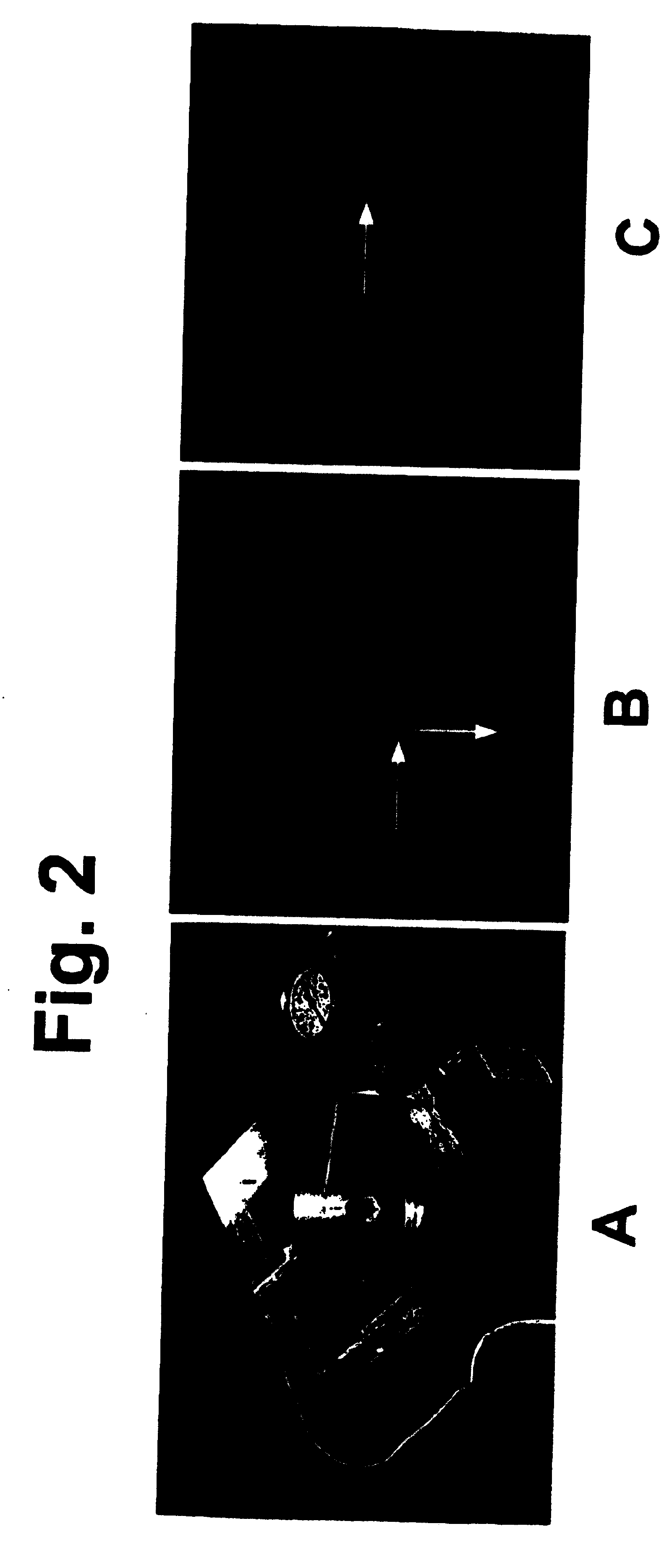 Circulating microfluidic pump system for chemical or biological agents