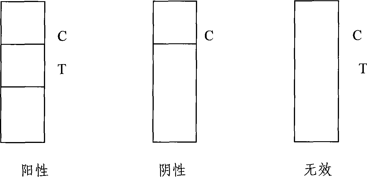 Test paper strip for detecting swine chain coccus type 2 antibody colloidal gold, method for making same and applications