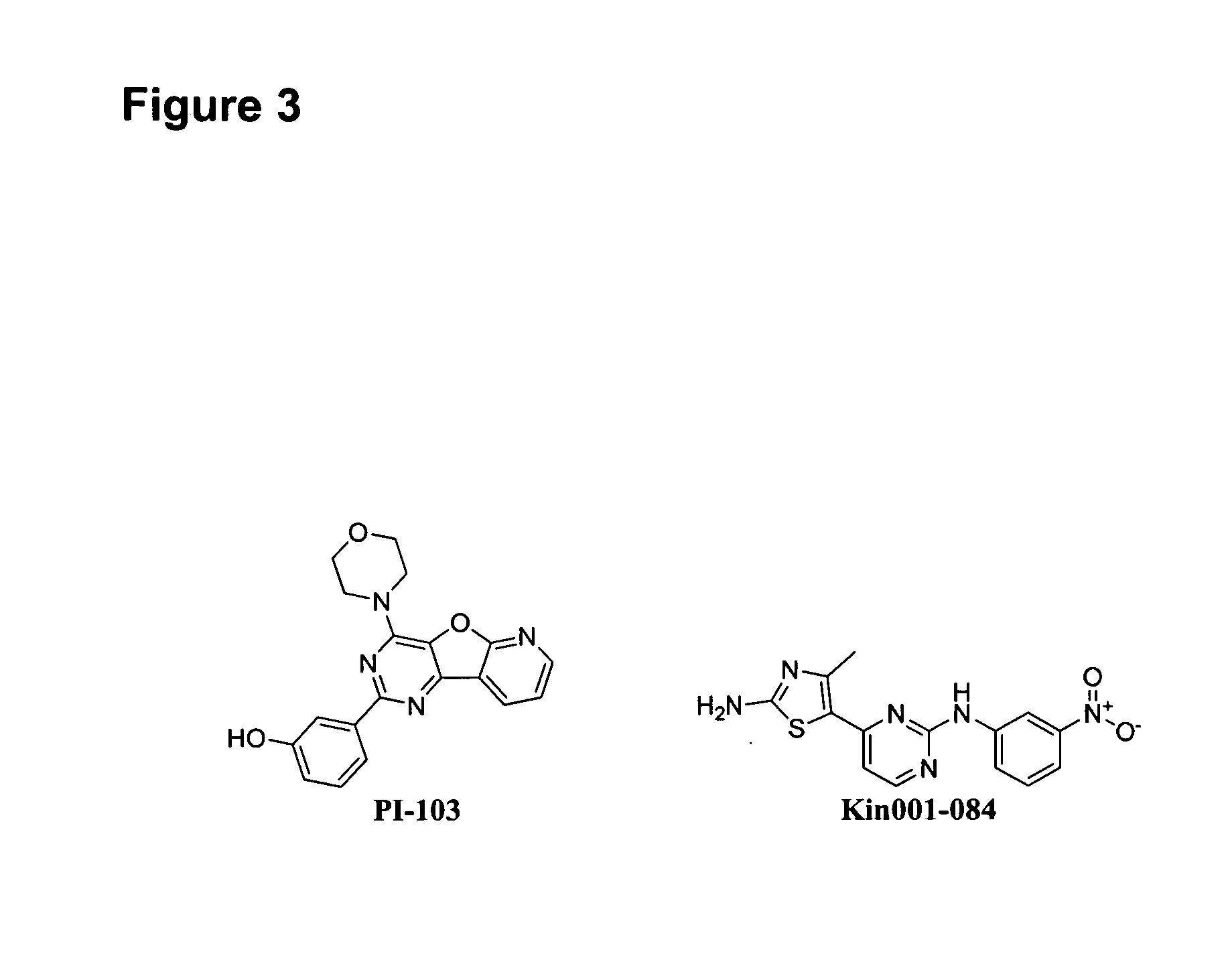 Soluble mtor complexes and modulators thereof