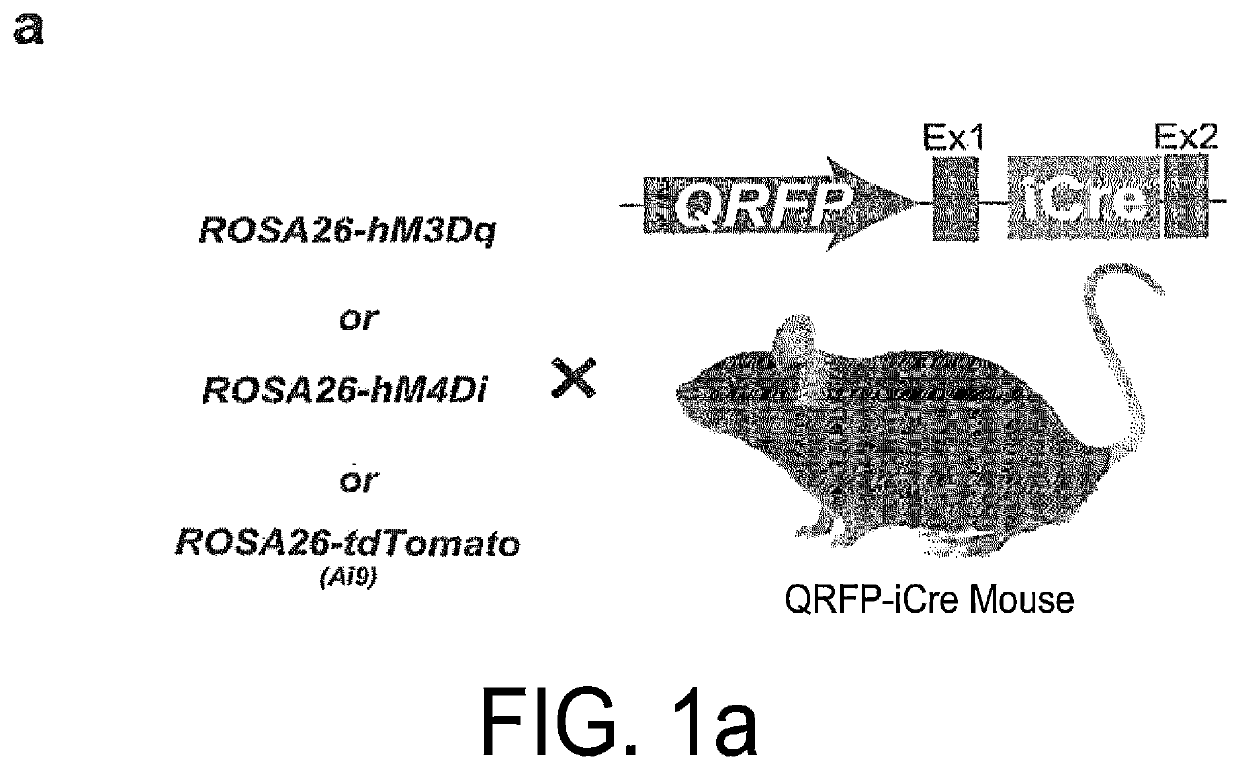 Method for inducing hibernation-like state and device same