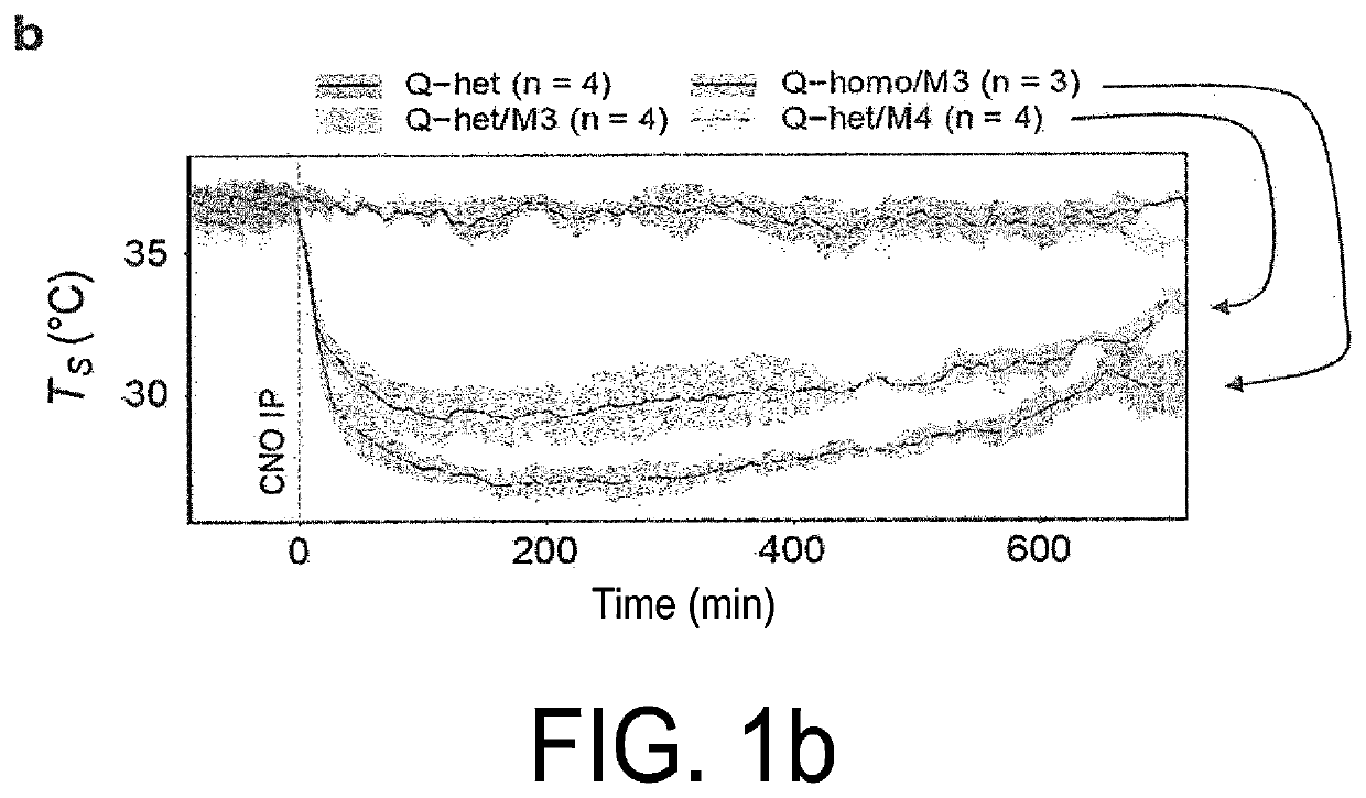 Method for inducing hibernation-like state and device same