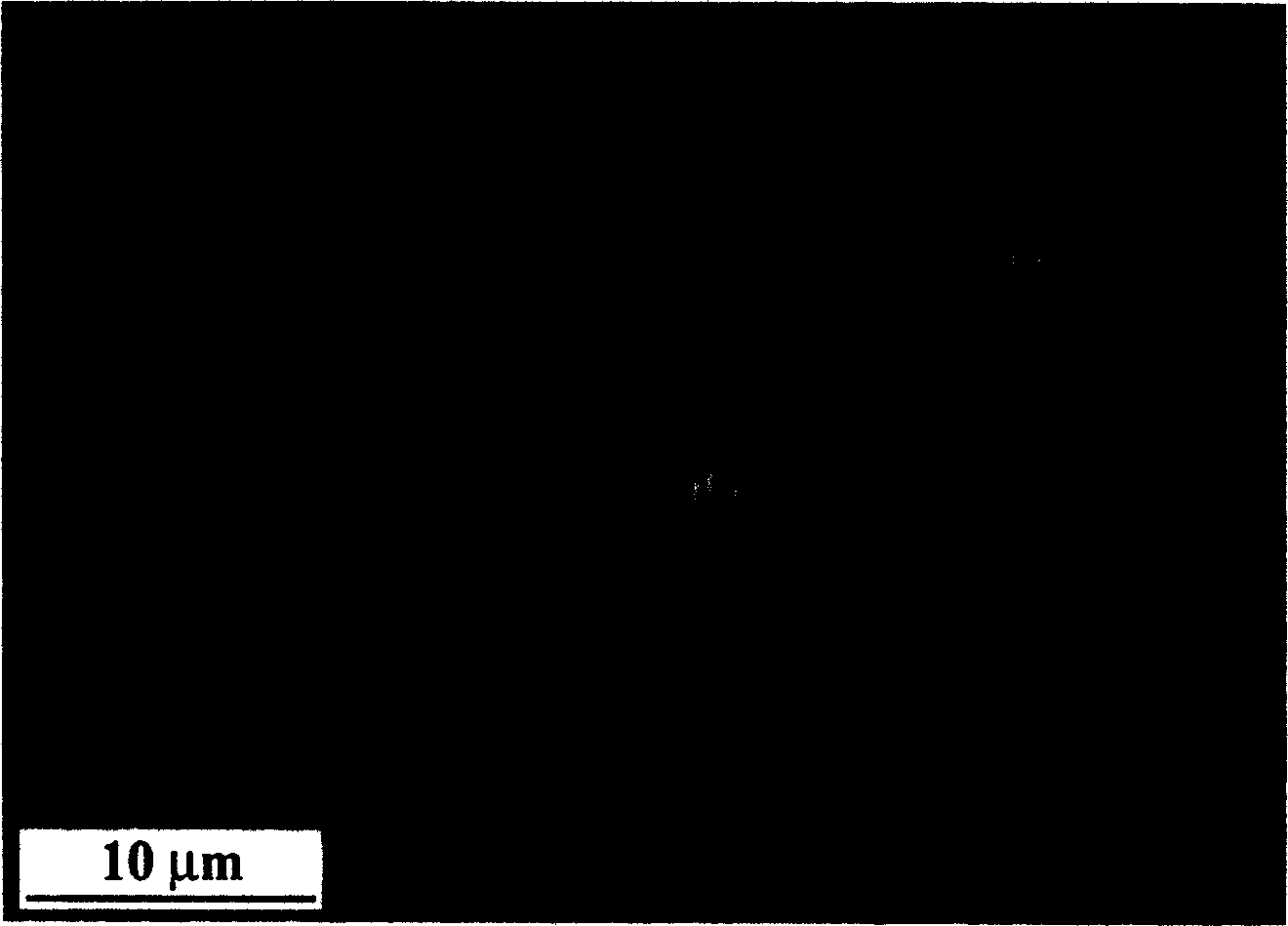 Method for raising resistance of Ti3AlC2 and Ti2AlC and their composite materials to molten salt corrosion