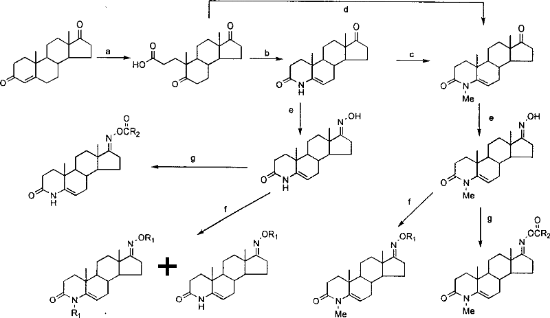 Steroid compound with 5-alpha reductase active and preparation process thereof