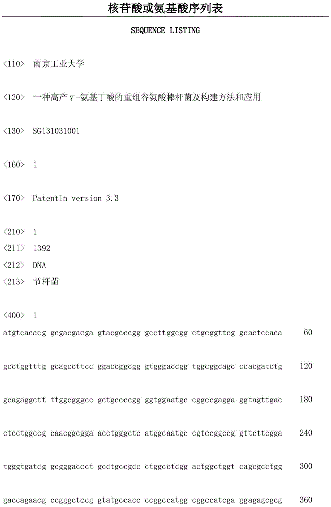 Recombinant corynebacterium glutamicum for high production of gamma-aminobutyric acid as well as construction method and application thereof