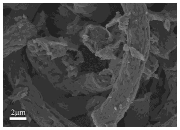 Preparation method of spirulina-based carbon material for supercapacitor