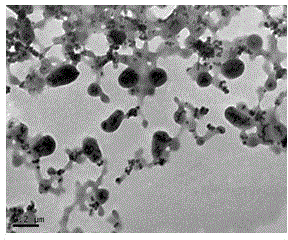 Nanorealgar-carrying magnetic albumin nanospheres and preparation method thereof