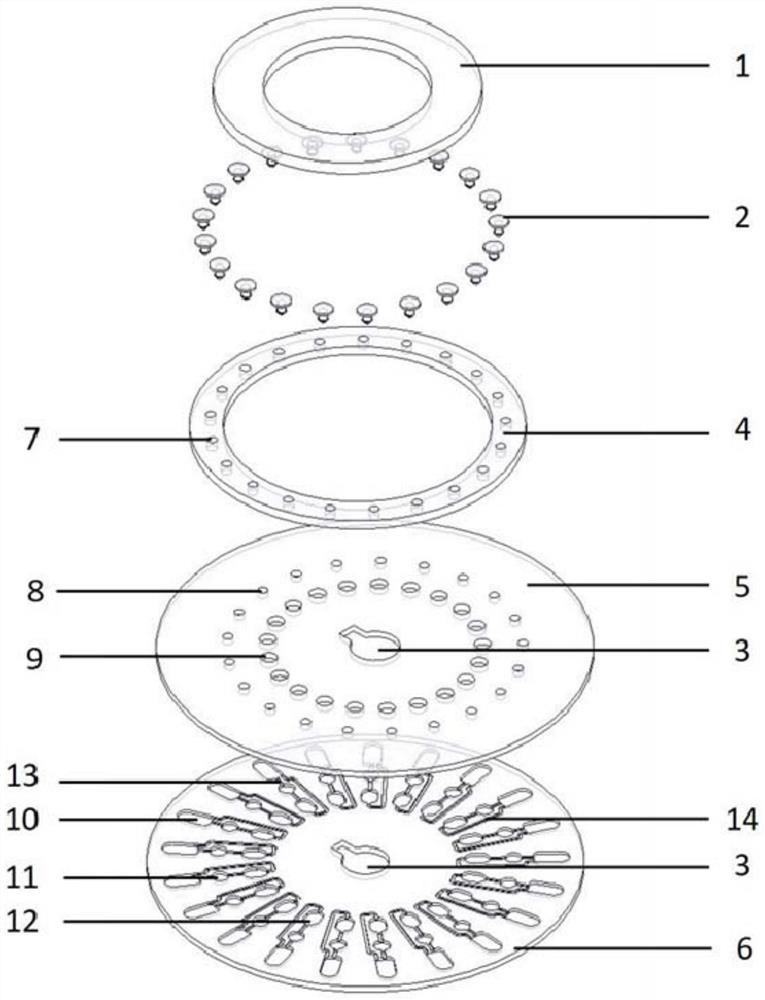 Microfluidic nucleic acid detection method and application