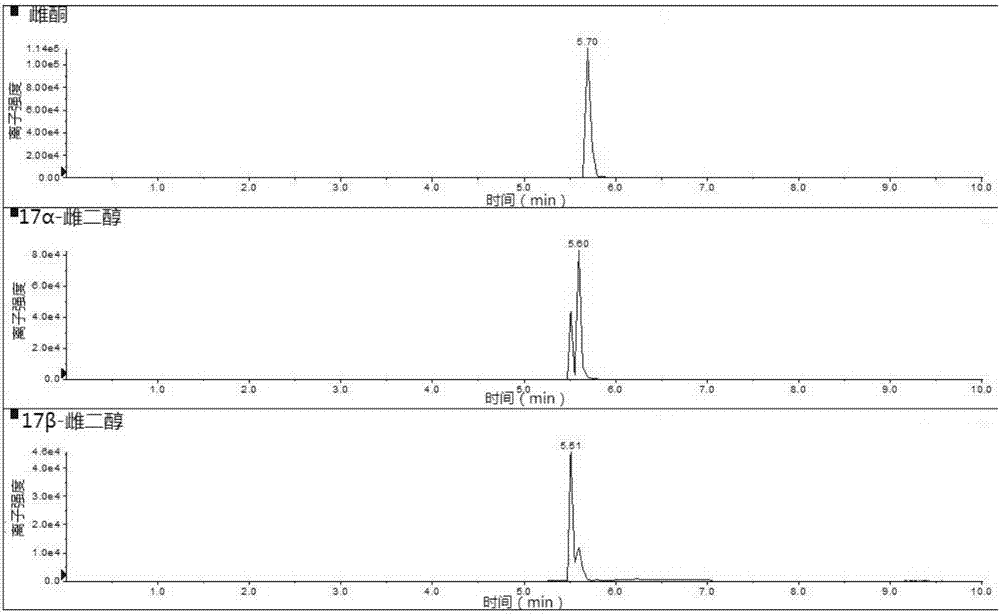 Method for simultaneously detecting nine types of oestrogen substances in water by solid phase extraction-liquid chromatography-tandem mass spectrometry