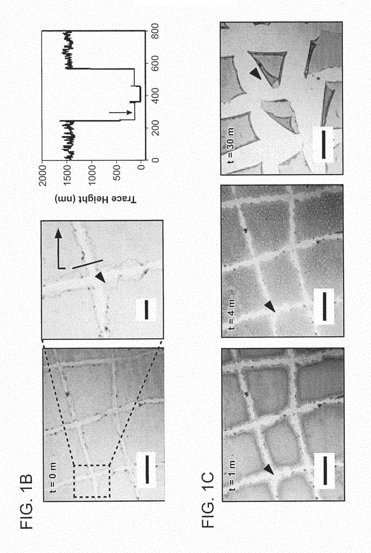 Multilayer Compositions, Coated Devices And Use Thereof