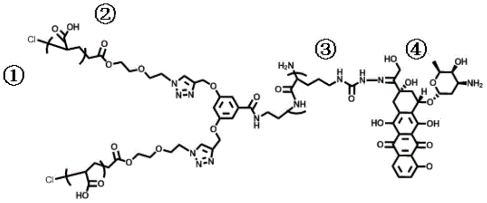 Novel antitumor doxorubicin-containing macromolecular drug