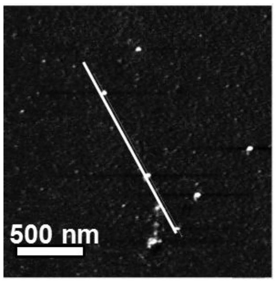 A kind of carbon quantum dot and its preparation method and application