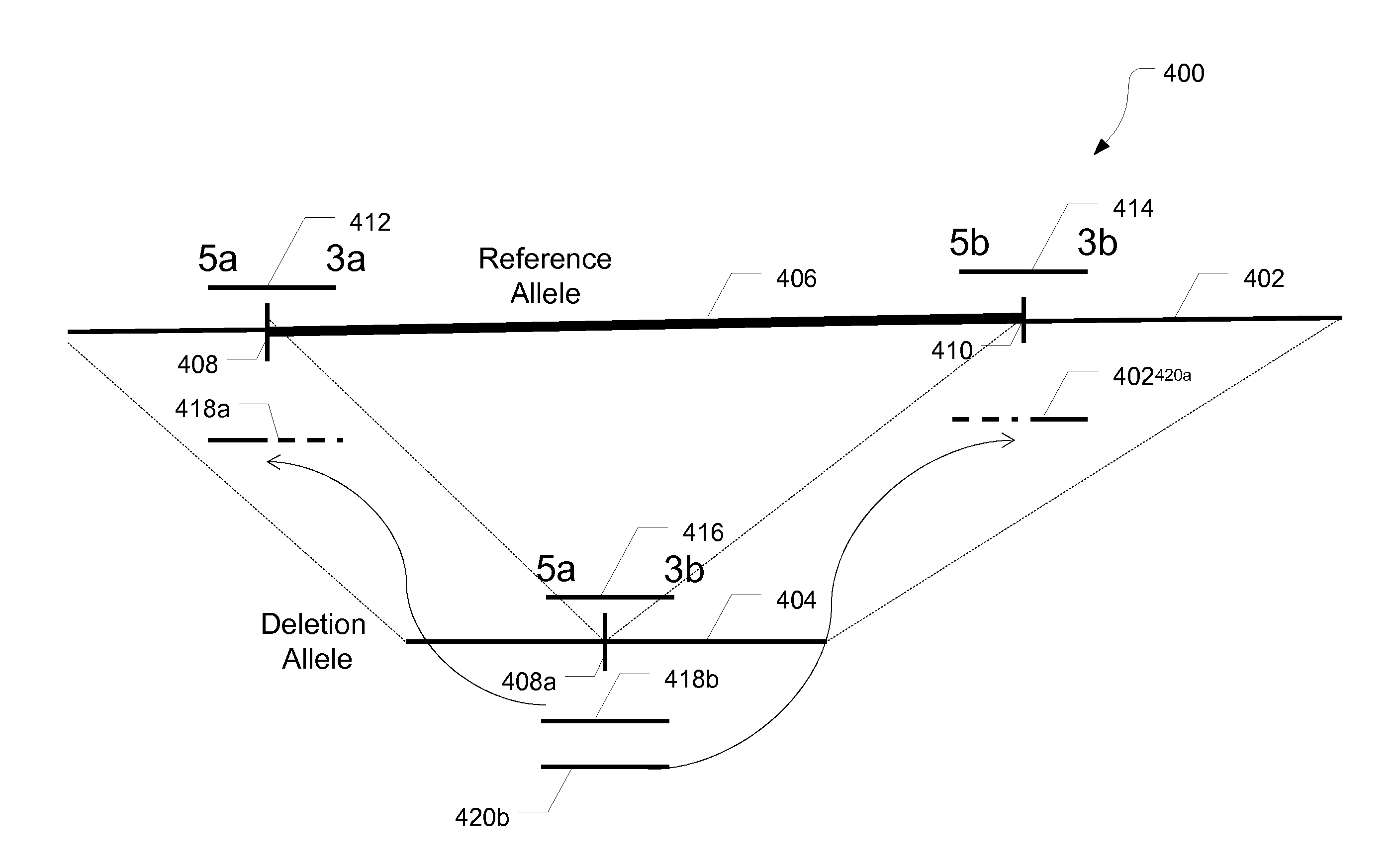 Systems and Methods for Detecting Structural Variants