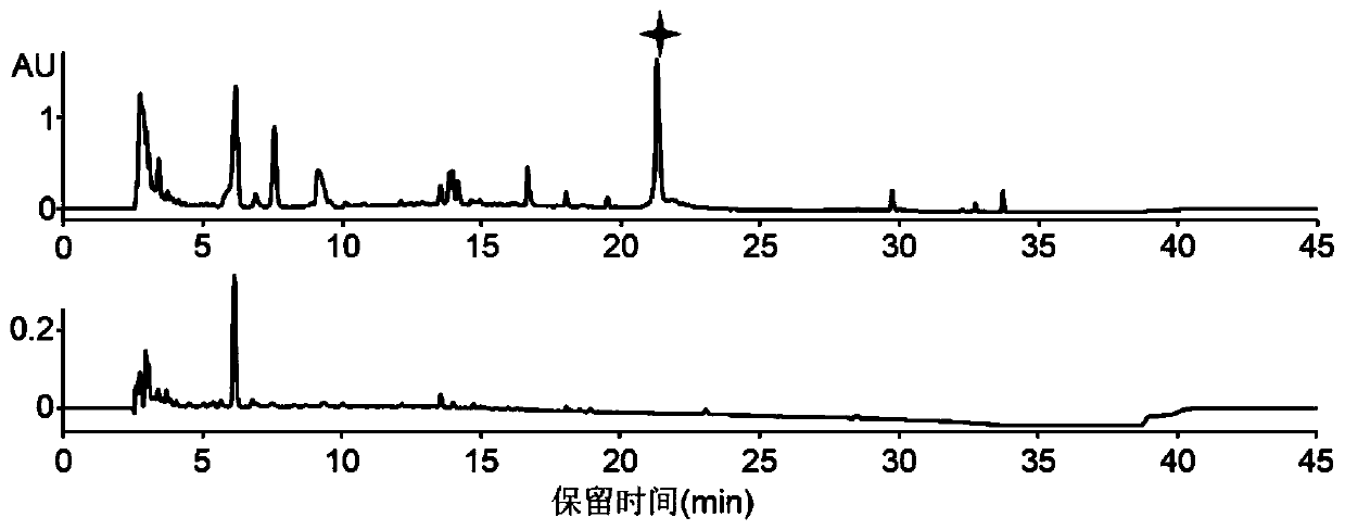 Antibacterial peptide lexapeptide and its preparation method and use