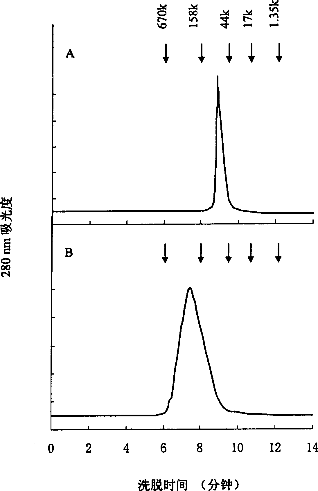 Modified arginine deiminase