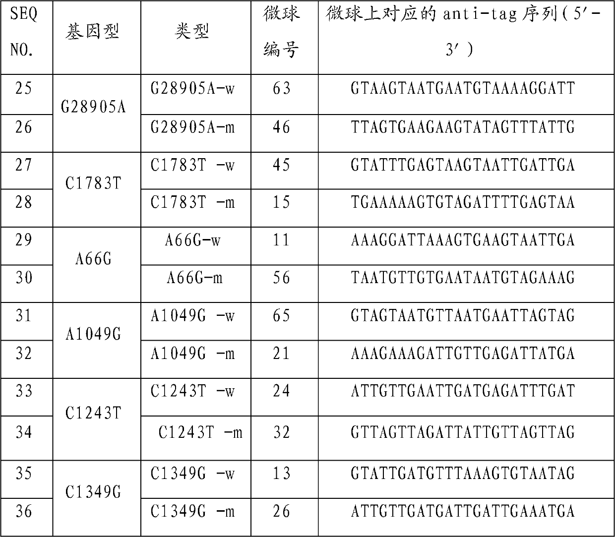MTRR (5-methyltetrahydrofolate-homocysteine methyltransferase reductase) gene mutation detection specific primers and liquid chip