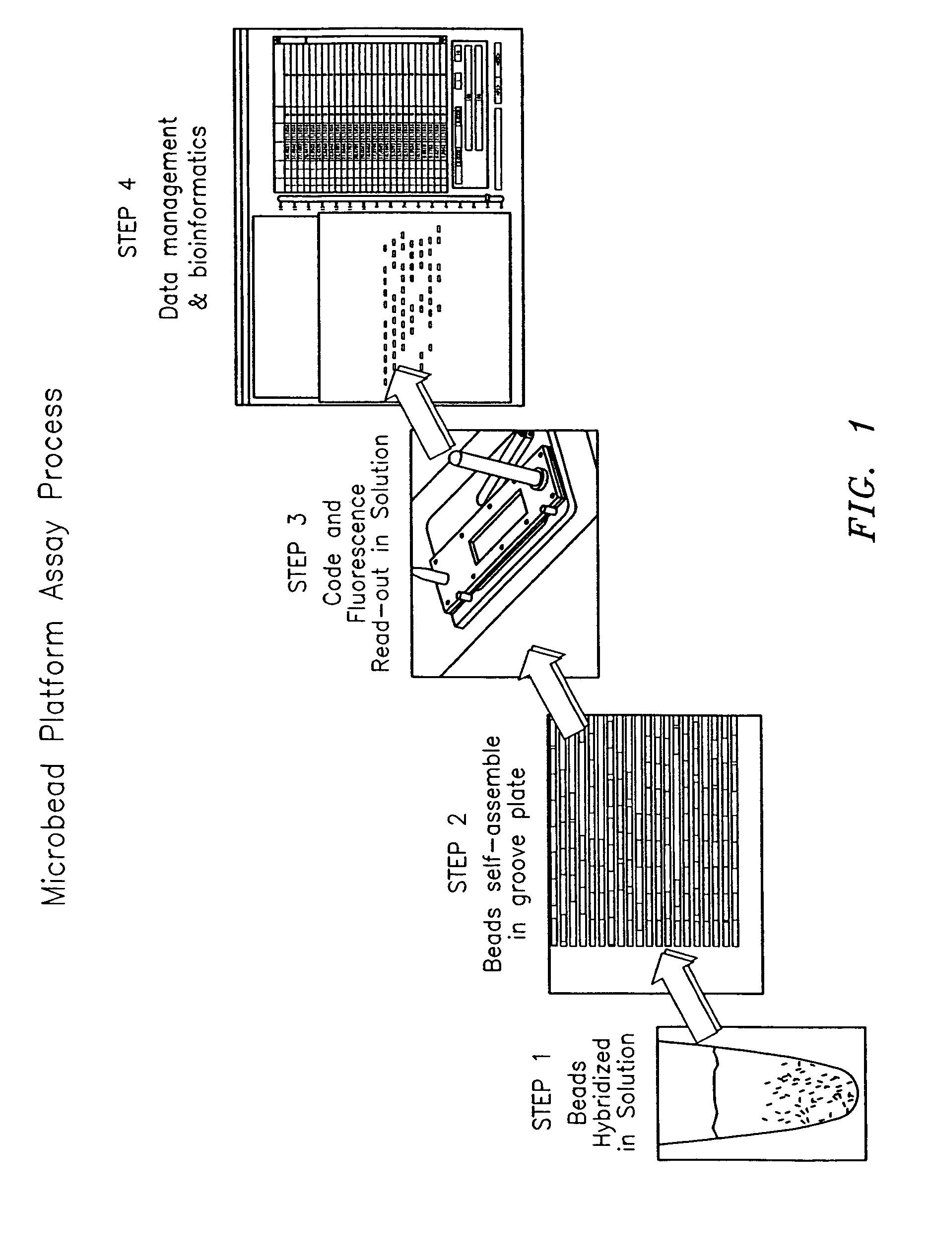 Method and apparatus for aligning microbeads in order to interrogate the same