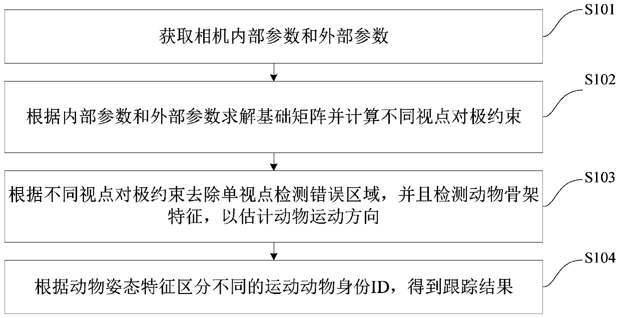 Multi-view animal group tracking method and device