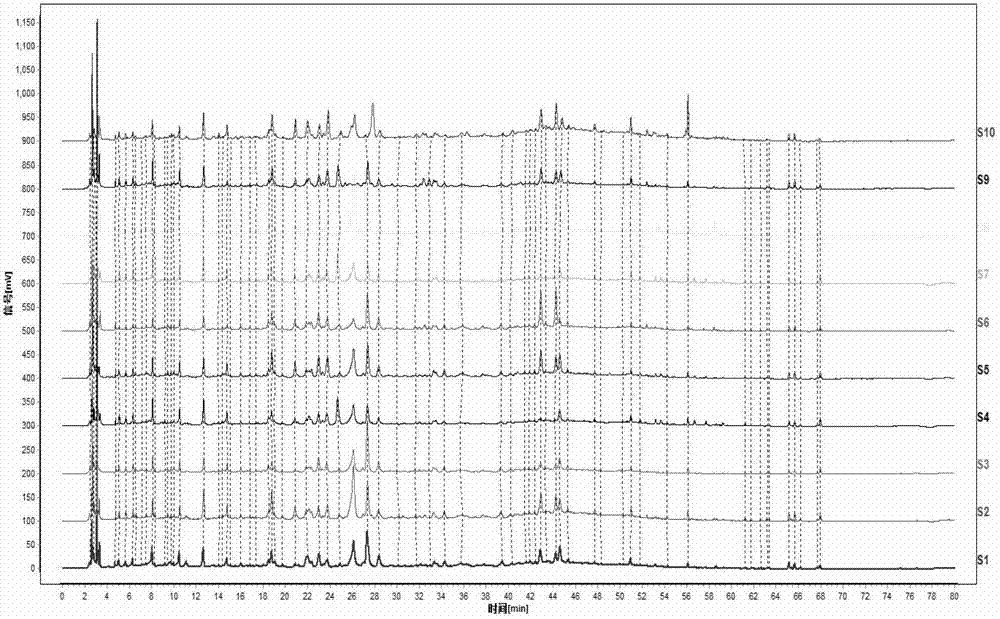 A kind of detection method of dendrobium medicinal material