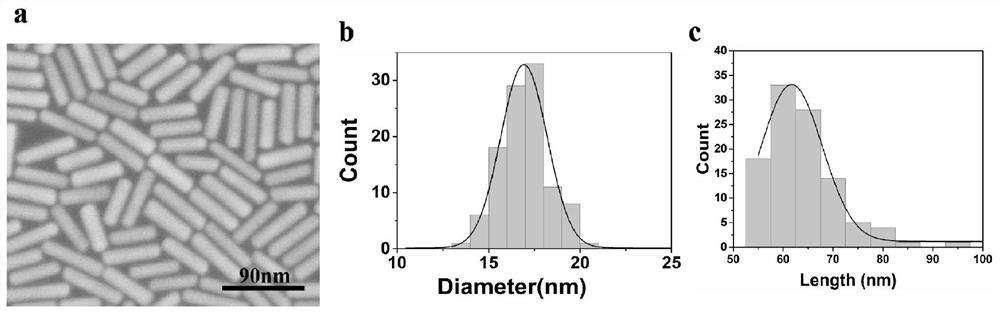 Gold nanorod detection probe, preparation method, detection method and application thereof