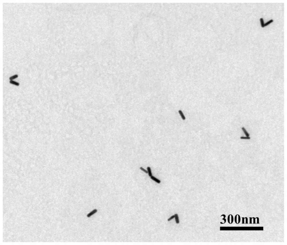 Gold nanorod detection probe, preparation method, detection method and application thereof