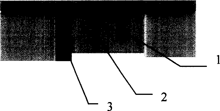 Japanese blood fluke cell periodic static agent, its coded nucleic acid and its use