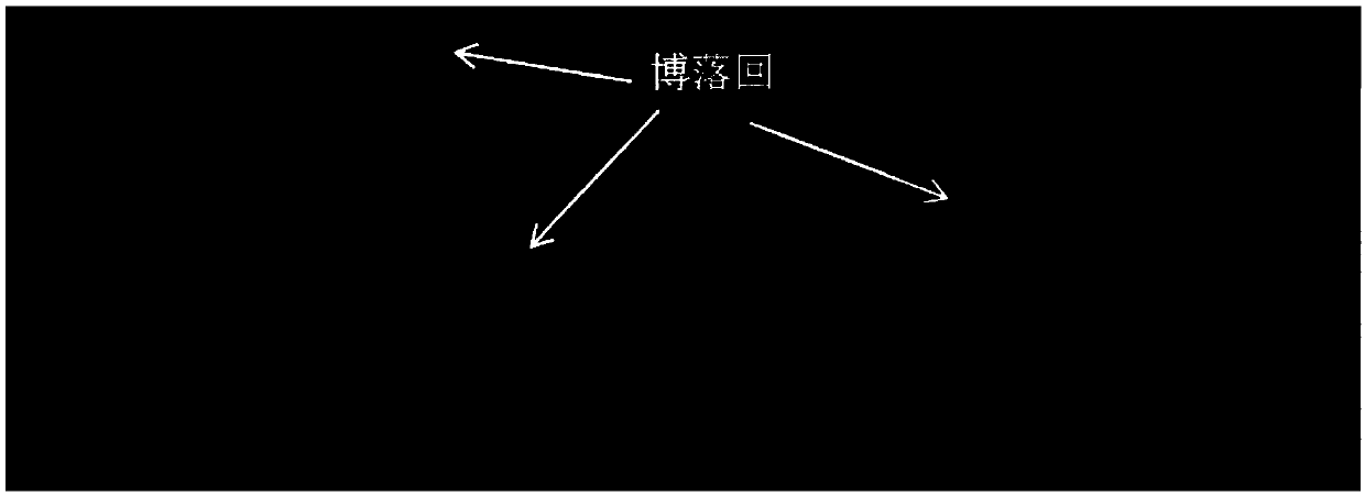 Method for remediation of heavy metal contaminated soil by using macleaya cordata, and application of macleaya cordata