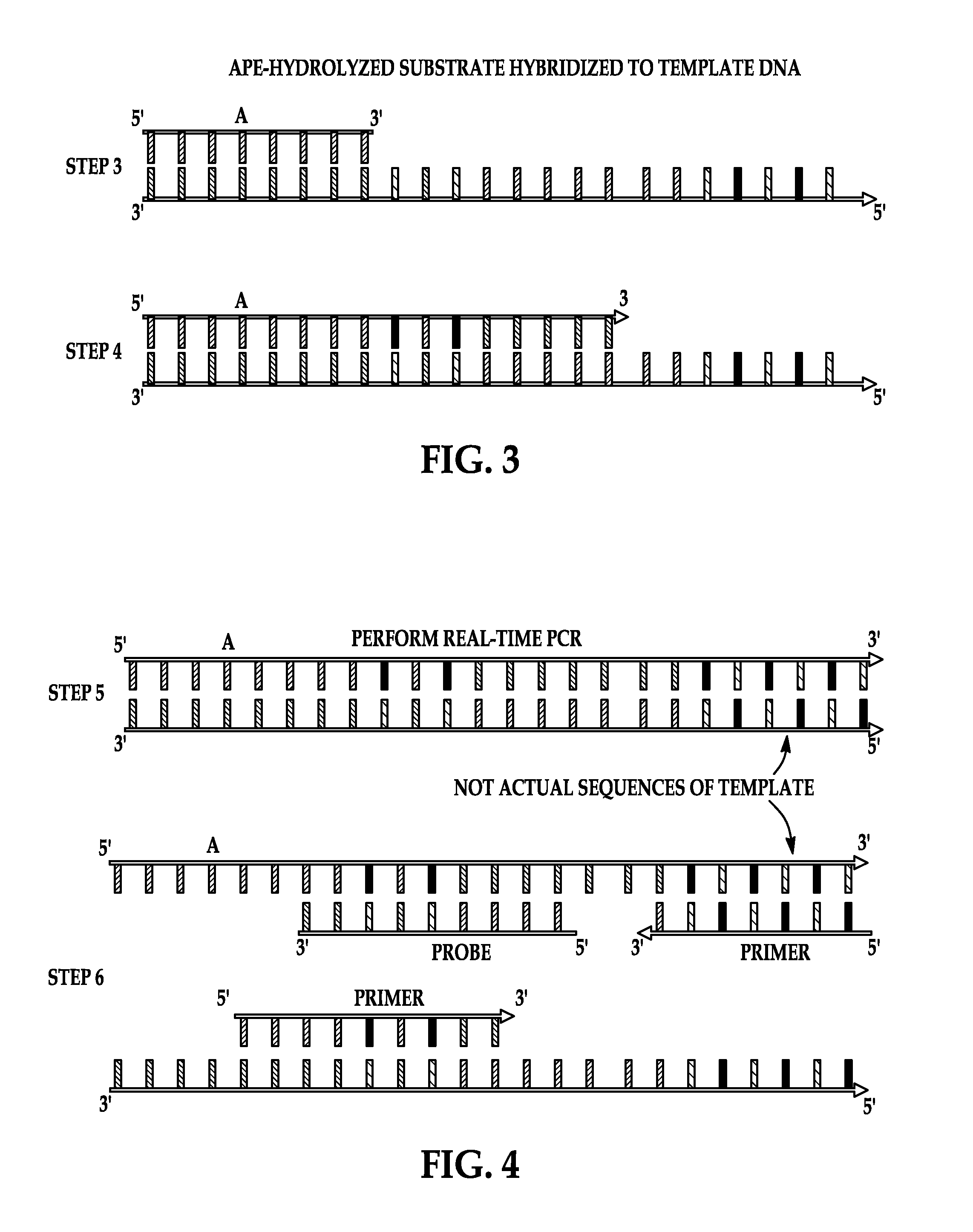 Direct quantification of ribosome inactivating protein