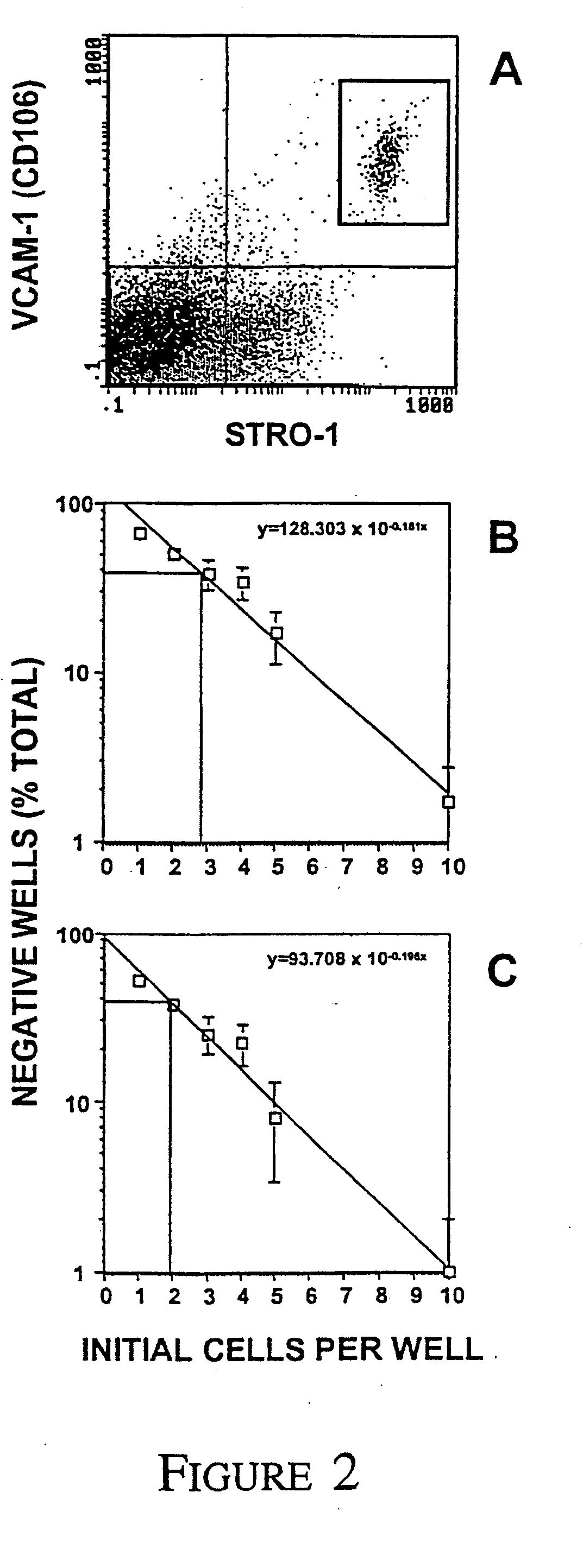 Mesenchymal precursor cell and use thereof in the repair of bone defects and fractures in mammals