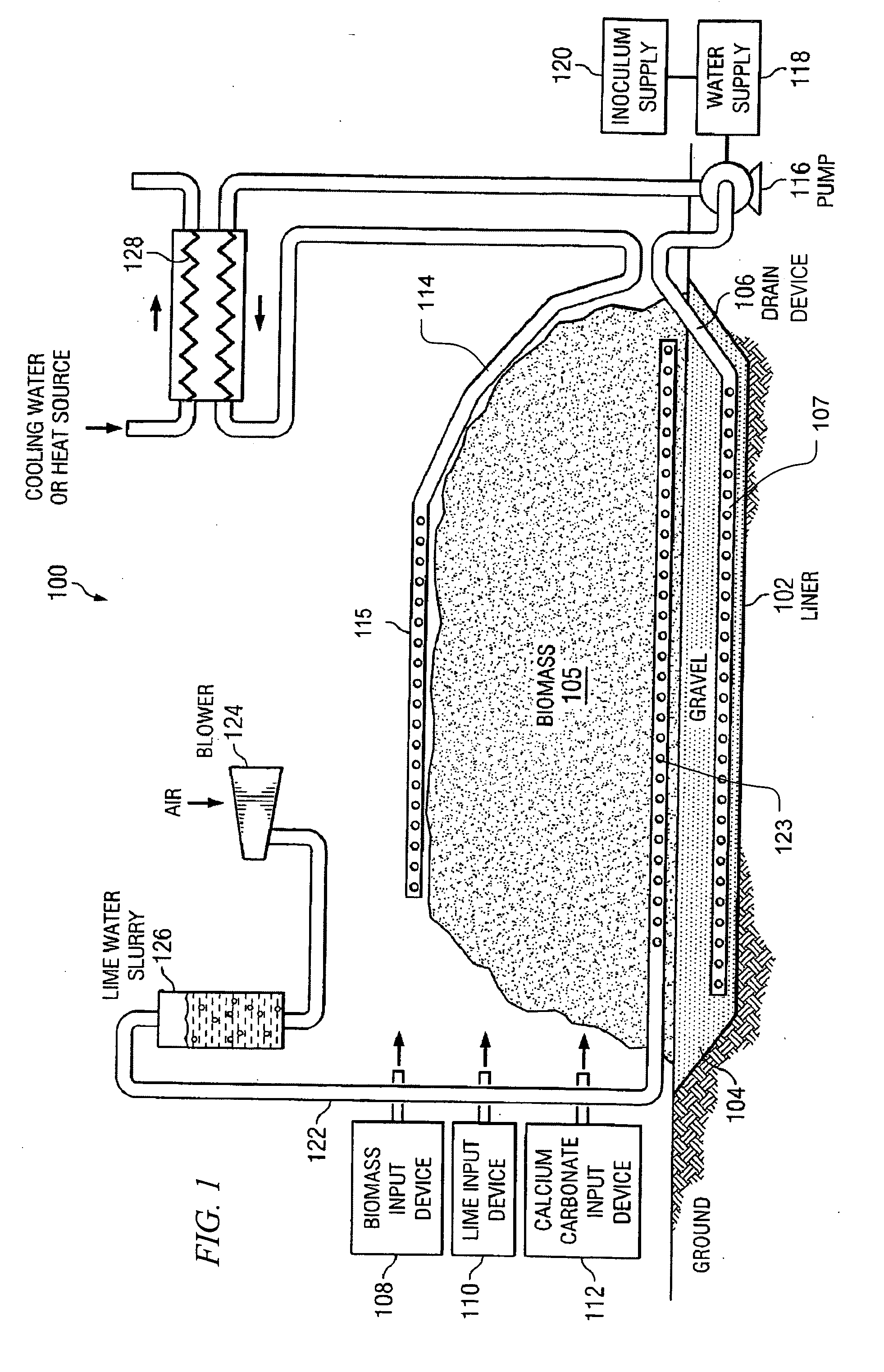 System and method for processing biomass