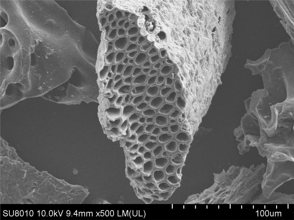 Method for purifying pig-breeding wastewater by manganese metal self-loaded biochar