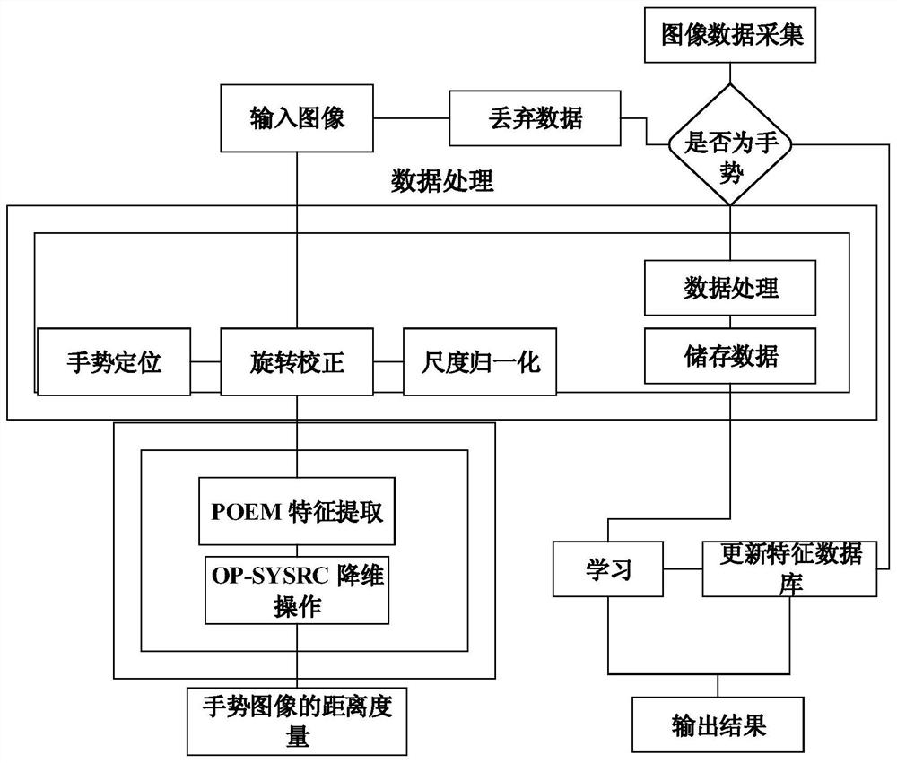 A Gesture Recognition Method Based on Optimal Projective Symmetry Approximate Sparse Classification