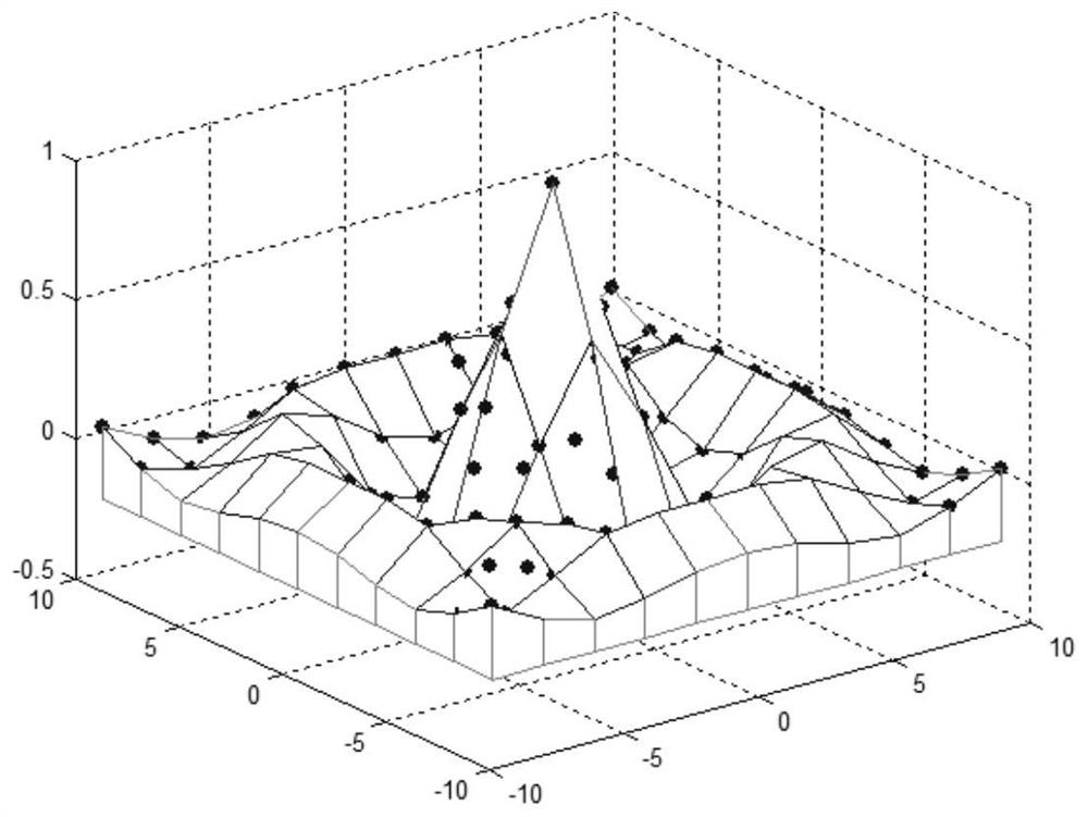 A Gesture Recognition Method Based on Optimal Projective Symmetry Approximate Sparse Classification