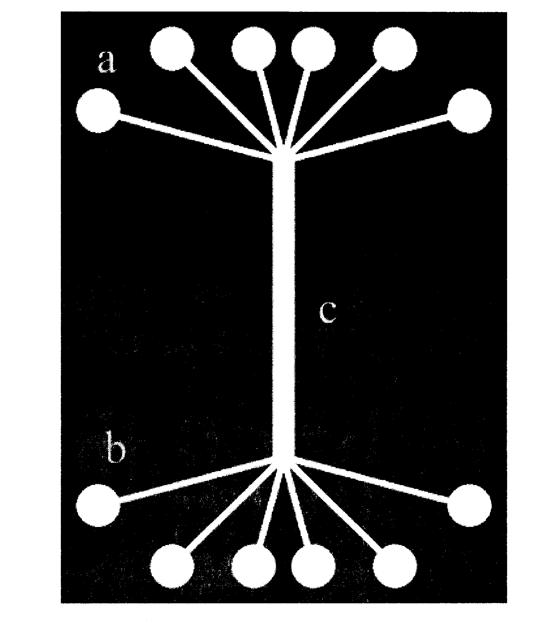 Novel temperature response micro-fluidic cell culturing chip and preparation method thereof