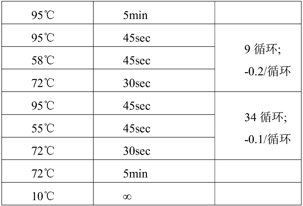 Gene mutant and application thereof