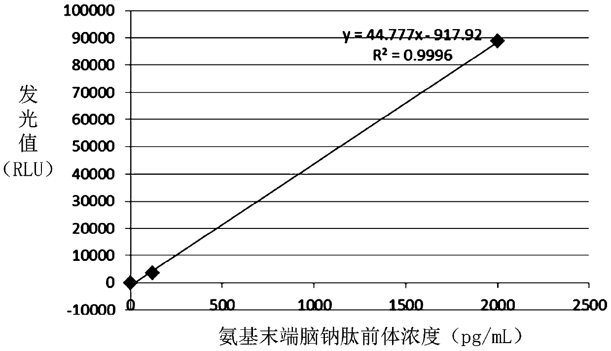 Amino terminal brain natriuretic peptide precursor polypeptide, antibody, preparation method thereof, detection kit and detection method thereof